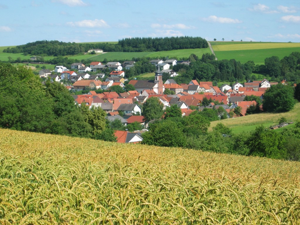 Panorama mit Grünkernfeld im Vordergrund